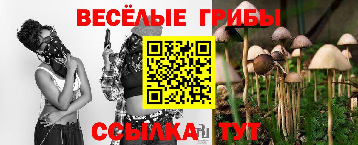Рыбинск  Галлюциногенные грибы Psilocybine cubensis  Вход с VPN  Галлюциногенные грибы Psilocybine cubensis 